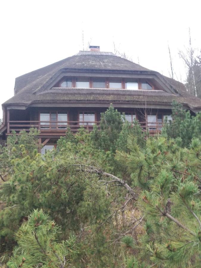 Dzeni Guest House Amatciems Eksteriør bilde